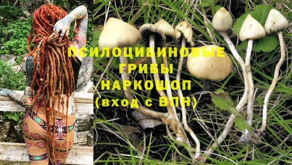 гидропоника Богородицк