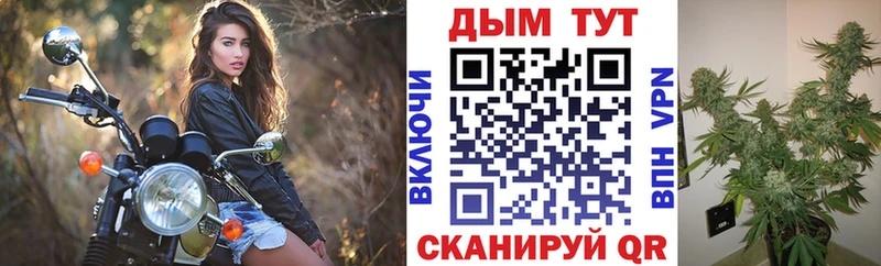 где найти   Нижний Тагил  Конопля Bruce Banner 